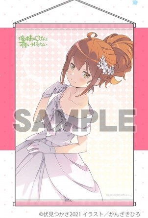 小説 俺の妹がこんなに可愛いわけがない 17 加奈子if 限定版 B2タペストリー付 ゲーマーズ 書籍商品の総合通販