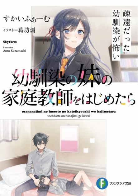 小説 幼馴染の妹の家庭教師をはじめたら 疎遠だった幼馴染が怖い ゲーマーズ 書籍商品の総合通販