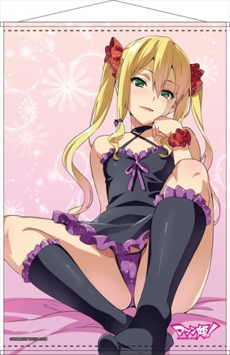 グッズ タペストリー マケン姫っ B2タペストリー C ゲーマーズ キャラクターグッズ商品の総合通販