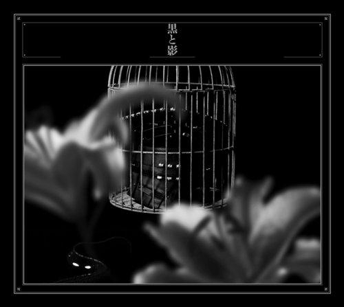 アルバム 黒夢 黒と影 初回生産限定盤 ゲーマーズ 音楽商品の総合通販