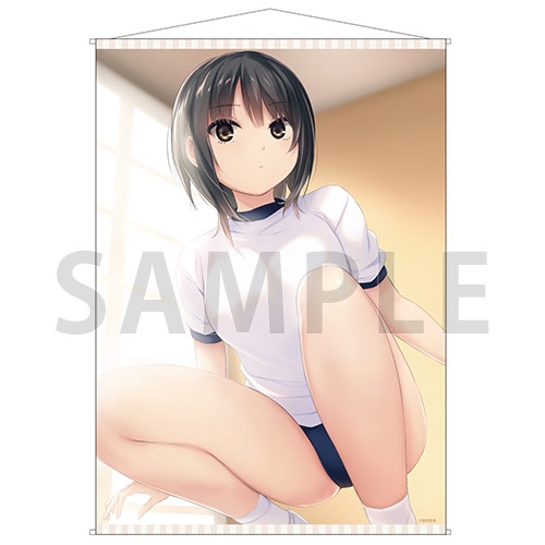 グッズ タペストリー 珈琲貴族 B1タペストリー 青山澄香 ゲーマーズ先行 ゲーマーズ キャラクターグッズ商品の総合通販