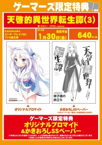 小説 天啓的異世界転生譚 3 ゲーマーズ 書籍商品の総合通販