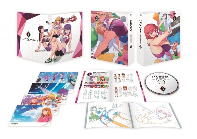 Blu Ray Tv いわかける Sport Climbing Girls 3 ゲーマーズ 映像商品の総合通販