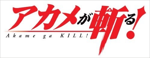 コミック アカメが斬る 15 ゲーマーズ 書籍商品の総合通販