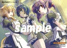 小説 異世界迷宮でハーレムを 7 ゲーマーズ 書籍商品の総合通販