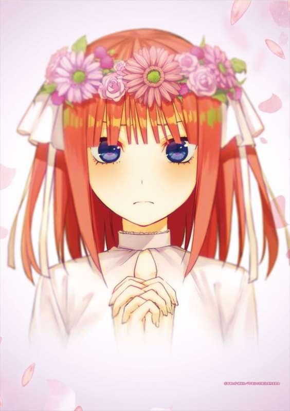 グッズ タペストリー 五等分の花嫁 B2タペストリー Ed Ver 中野二乃 ゲーマーズ キャラクターグッズ商品の総合通販