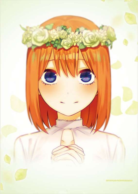 グッズ タペストリー 五等分の花嫁 B2タペストリー Ed Ver 中野四葉 ゲーマーズ キャラクターグッズ商品の総合通販
