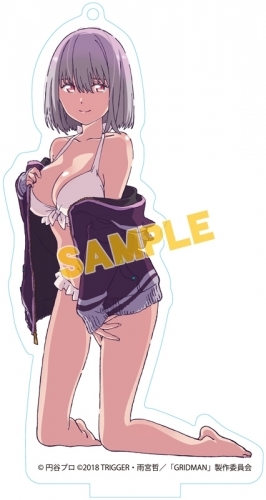 グッズ キーホルダー Ssss Gridman 描き下ろしアクリルスタンド