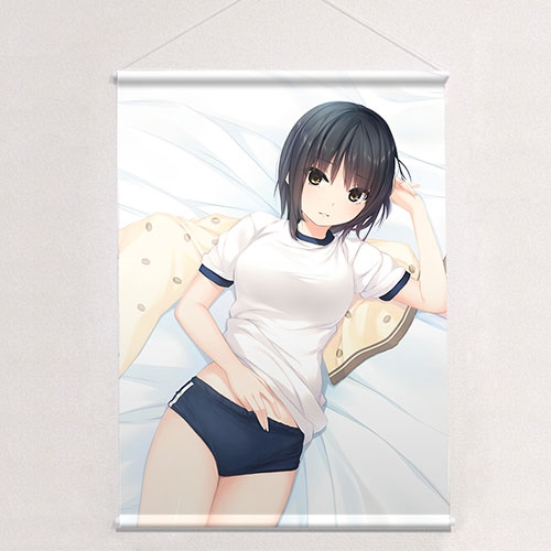 グッズ タペストリー 珈琲貴族先生 描き下ろしb2タペストリー 青山澄香 体操服 ゲーマーズ キャラクターグッズ商品の総合通販
