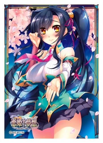 グッズ カードケース 恋姫夢想 きゃらスリーブコレクション マットシリーズ 関羽 愛紗 ゲーマーズ キャラクターグッズ商品の総合通販