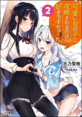 小説 可愛い女の子に攻略されるのは好きですか 2 ゲーマーズ 書籍商品の総合通販