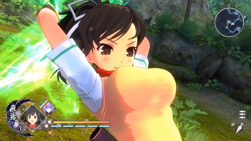 Ps4 閃乱忍忍忍者大戦ネプテューヌ 少女達の響艶 ねぷねぷシノビ萌絵箱 忍転身セット ゲーマーズ限定版 ゲーマーズ ゲーム商品の総合通販