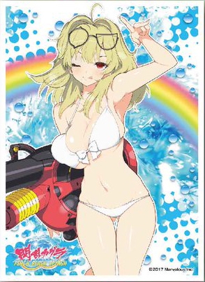 グッズ カードケース 閃乱カグラ Peach Beach Splash キャラクタースリーブ 四季b ゲーマーズ キャラクターグッズ商品の総合通販