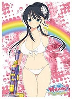 グッズ カードケース 閃乱カグラ Peach Beach Splash キャラクタースリーブ 斑鳩 B ゲーマーズ キャラクターグッズ商品の総合通販