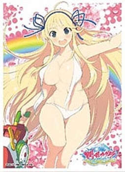 グッズ カードケース 閃乱カグラ Peach Beach Splash キャラクタースリーブ 葛城 B ゲーマーズ キャラクターグッズ商品の総合通販