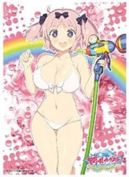 グッズ カードケース 閃乱カグラ Peach Beach Splash キャラクタースリーブ 雲雀 B ゲーマーズ キャラクターグッズ商品の総合通販