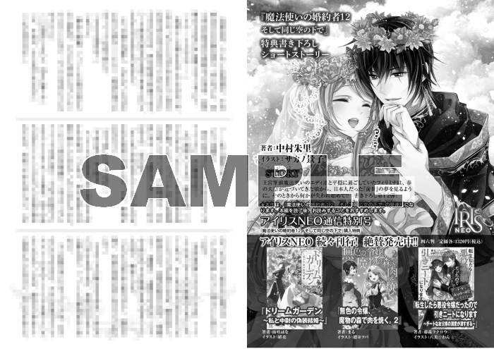 小説 魔法使いの婚約者 12 そして同じ空の下で ゲーマーズ 書籍商品の総合通販