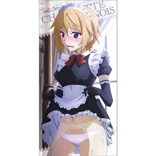 グッズ タオル Is インフィニット ストラトス シャルロット デュノア メイド服ver 1cmビッグタオル ゲーマーズ キャラクターグッズ商品の総合通販