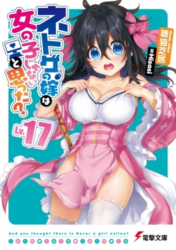 小説 ネトゲの嫁は女の子じゃないと思った 17 ゲーマーズ 書籍商品の総合通販