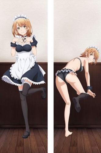 グッズ カバー やはり俺の青春ラブコメはまちがっている 完 描き下ろし抱き枕 メイドver 一色いろは ゲーマーズ キャラクターグッズ 商品の総合通販