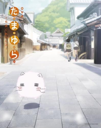 Blu Ray Ova たまゆら もあぐれっしぶ ゲーマーズ 映像商品の総合通販