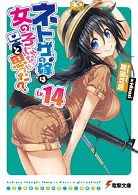 小説 ネトゲの嫁は女の子じゃないと思った Lv14 ゲーマーズ 書籍商品の総合通販