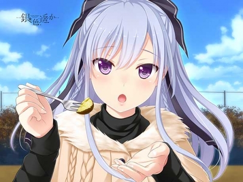 グッズ その他 銀色 遥か 瑞羽 両面毛布 ゲーマーズ キャラクターグッズ商品の総合通販