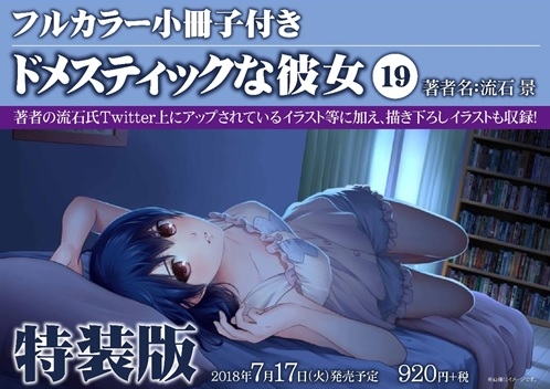 コミック ドメスティックな彼女 19 フルカラー小冊子付き特装版 ゲーマーズ 書籍商品の総合通販