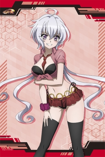 グッズ タペストリー 戦姫絶唱シンフォギアaxz B2タペストリー 雪音クリス ゲーマーズ キャラクターグッズ商品の総合通販