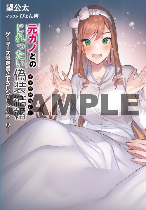 小説 元カノとのじれったい偽装結婚 2 ゲーマーズ 書籍商品の総合通販