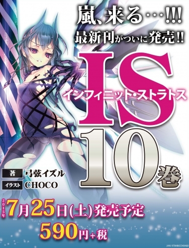 小説 Is インフィニット ストラトス 10 ゲーマーズ 書籍商品の総合通販