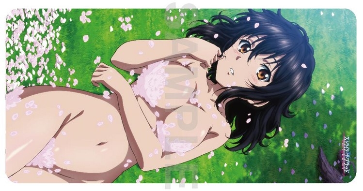 グッズ デスクマット ストライク ザ ブラッド ラバープレイマットコレクション 姫柊雪菜 桜の花びらver ゲーマーズ キャラクターグッズ商品の総合通販