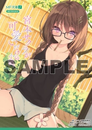 小説 宮本サクラが可愛いだけの小説 4 ゲーマーズ 書籍商品の総合通販