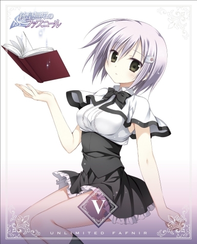Dvd Tv 銃皇無尽のファフニール Vol 5 通常版 ゲーマーズ 映像商品の総合通販