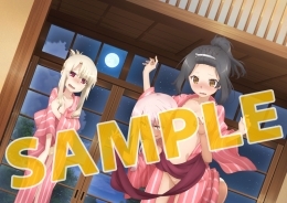 Dvd Tv Fate Kaleid Liner プリズマ イリヤ ドライ 第2巻 限定版 ゲーマーズ 映像商品の総合通販