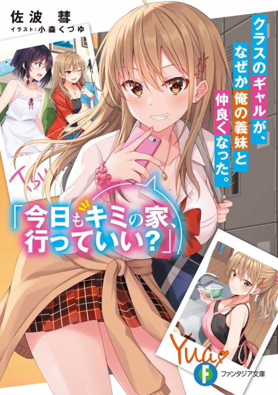 小説 クラスのギャルが なぜか俺の義妹と仲良くなった 今日もキミの家 行っていい ゲーマーズ 書籍商品の総合通販