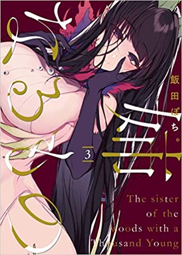 小説 H Kドラグネット 1 ゲーマーズ 書籍商品の総合通販
