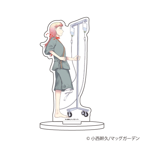 グッズ スタンドポップ リィンカーネーションの花弁 キャラアクリルフィギュア02 アインシュタイン ゲーマーズ キャラクターグッズ商品の総合通販