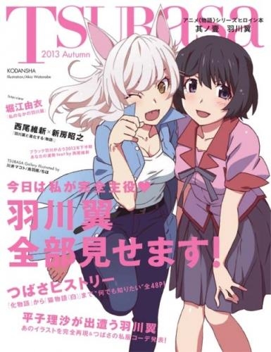 その他 書籍 アニメ 物語 シリーズヒロイン本 其ノ壹 羽川翼 ゲーマーズ 書籍商品の総合通販