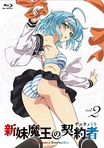 Dvd Tv 新妹魔王の契約者 テスタメント 第2巻 通常版 ゲーマーズ 映像商品の総合通販