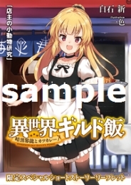 小説 異世界ギルド飯 暗黒邪龍とカツカレー ゲーマーズ 書籍商品の総合通販