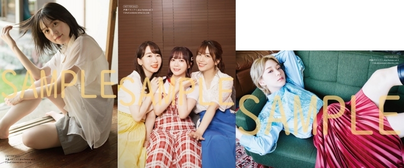 ムック 声優グランプリplus Femme Vol 3 ゲーマーズ 書籍商品の総合通販