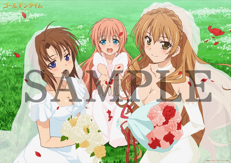 グッズ ポスター ゴールデンタイム A3クリアポスター ゲーマーズ キャラクターグッズ商品の総合通販