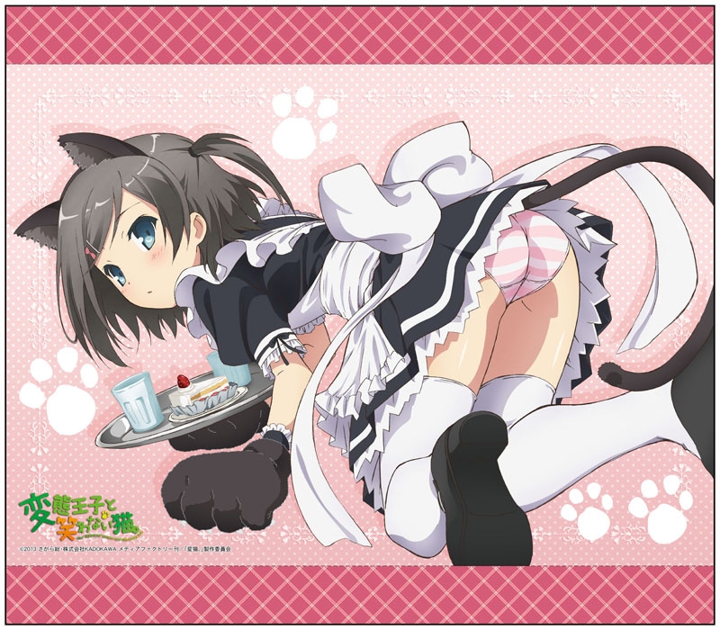 グッズ タペストリー 変態王子と笑わない猫 B2タペストリー 筒隠月子 ゲーマーズ キャラクターグッズ商品の総合通販