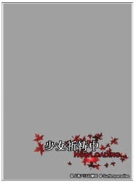 グッズ カードケース 東方project 波天宮 オーバースリーブ 少女祈祷中 アナザーバージョン 風神録 ゲーマーズ キャラクターグッズ商品の総合通販