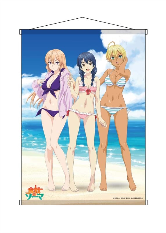 グッズ タペストリー 食戟のソーマ B2タペストリー Side Girls ゲーマーズ キャラクターグッズ商品の総合通販