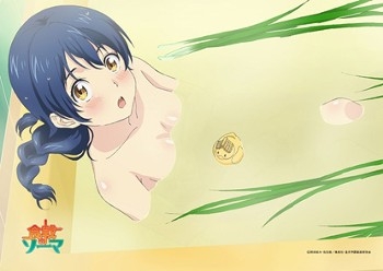 グッズ タペストリー 食戟のソーマ お風呂タペストリー ゲーマーズ キャラクターグッズ商品の総合通販