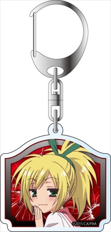 グッズ キーホルダー 緋弾のアリアaa アクリルキーホルダー 火野ライカ ゲーマーズ キャラクターグッズ商品の総合通販