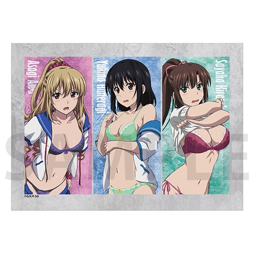 グッズ タオル ストライク ザ ブラッドfinal ブランケット お着替え Ver 催事商品 ゲーマーズ キャラクターグッズ商品の総合通販
