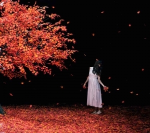 主題歌 Tv 夏目友人帳 伍 Ed 茜さす Aimer 初回生産限定盤a ゲーマーズ 音楽商品の総合通販